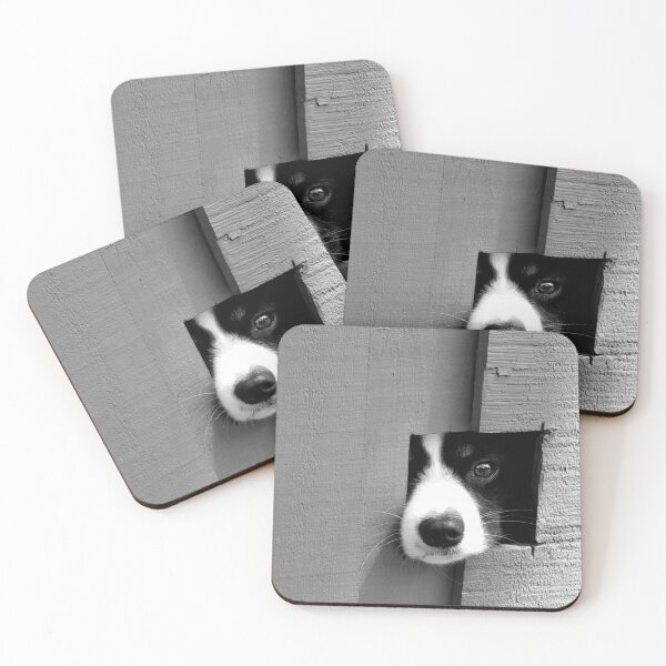 Item preview, A puppy looking through a hole in a fence. designed and sold by EAnneH.