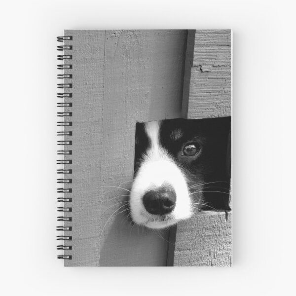 Item preview, A puppy looking through a hole in a fence. designed and sold by EAnneH.