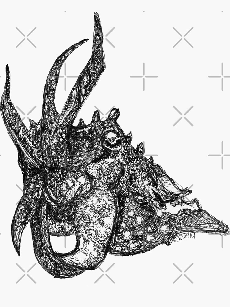 Rufus the Reaper Cuttlefish by Wildcard-Sue