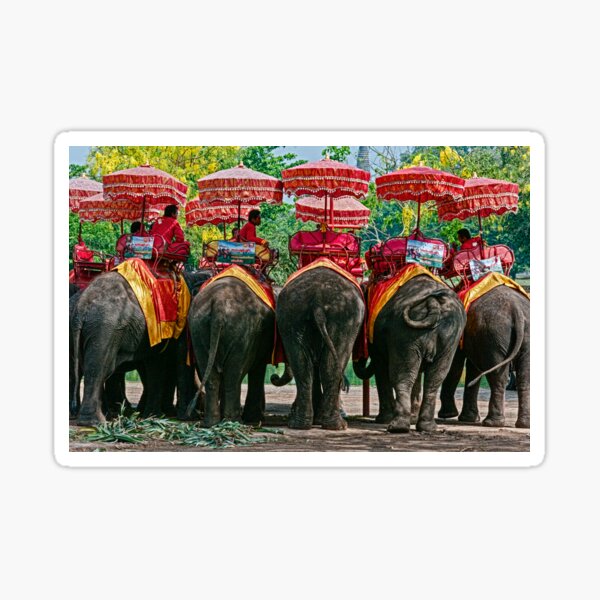 Item preview, Elephants designed and sold by bulljup.