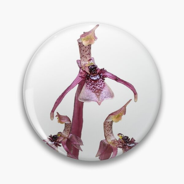 Item preview, Wasp Orchid Trio designed and sold by Anne-Maree Hunter.