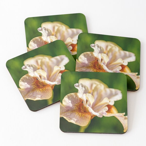 Item preview, Close-up of an Siberian iris designed and sold by jillianbutolphphoto.