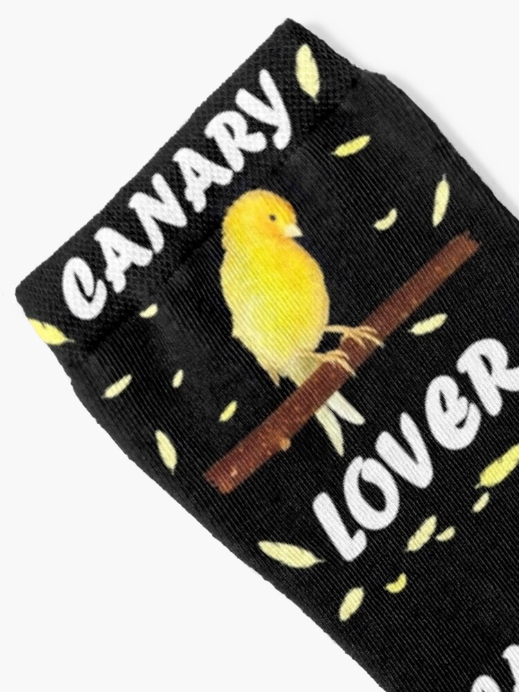 cute canary with yellow feathers Photographic Print by Denis