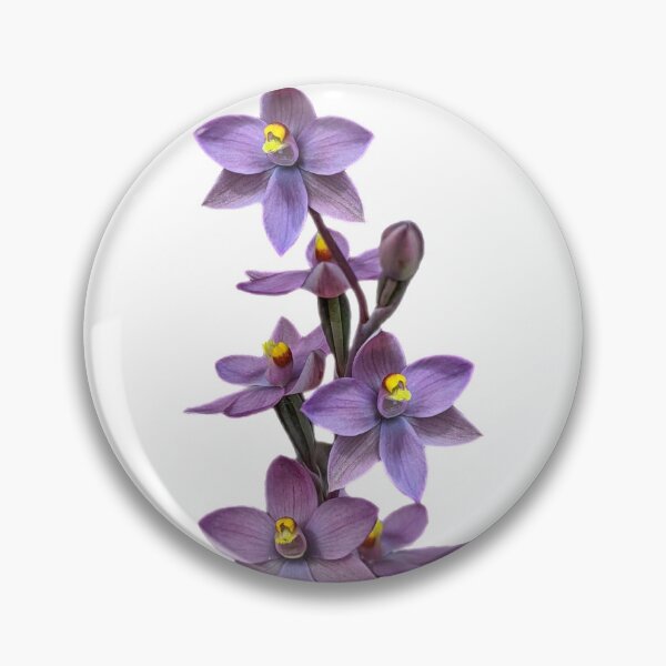 Item preview, Thely Sun Orchid designed and sold by Anne-Maree Hunter.