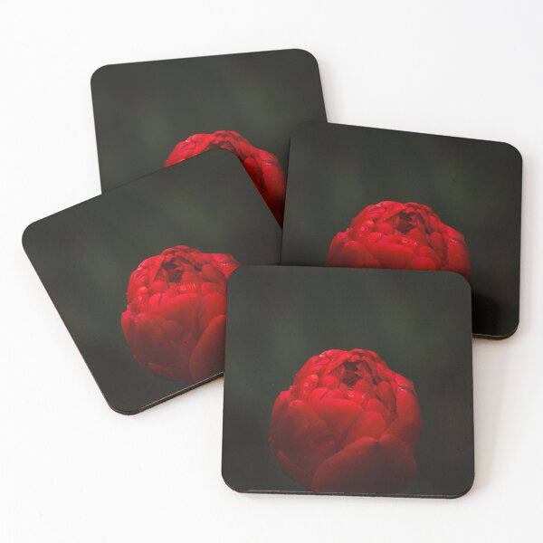 Item preview, Droplets on a tulip bulb designed and sold by SH3RW1N.