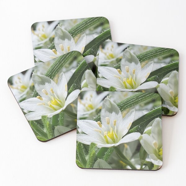 Item preview, Early spring flowers designed and sold by orangerinka.