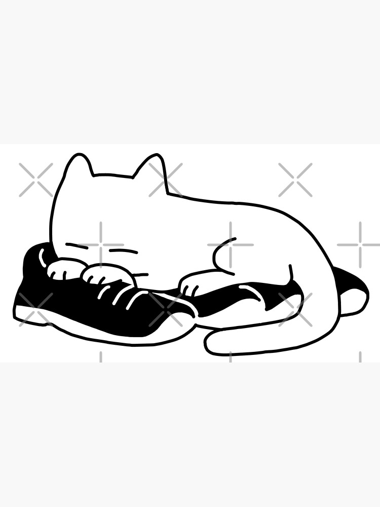 "Cat Sleeping on Shoes" Poster by Redbubble