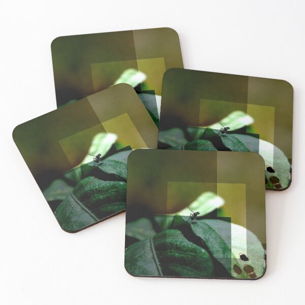 Item preview, Photo effect  designed and sold by Jodie Cooper.