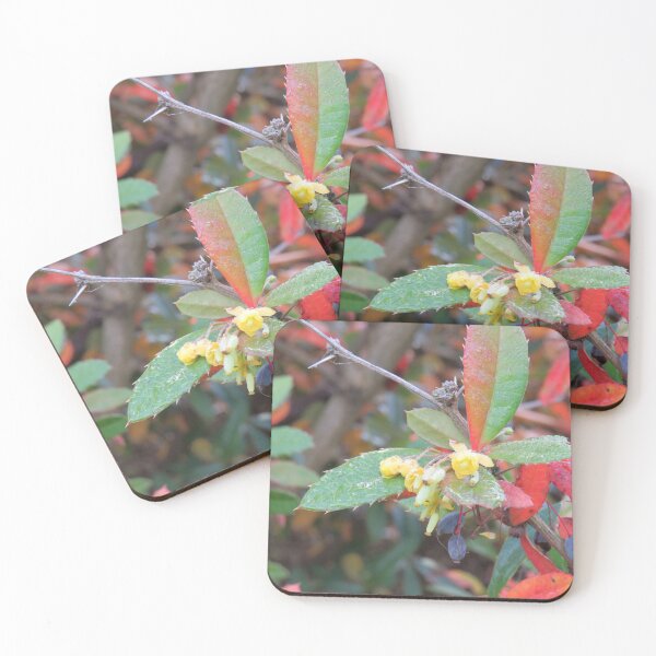Item preview, Barberry flowers and fruit designed and sold by greentiger1.