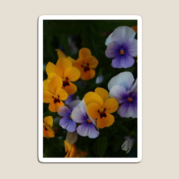 Item preview, Señales de verano designed and sold by lowerttangels.