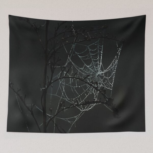 Item preview, Cobweb designed and sold by EvaWald.