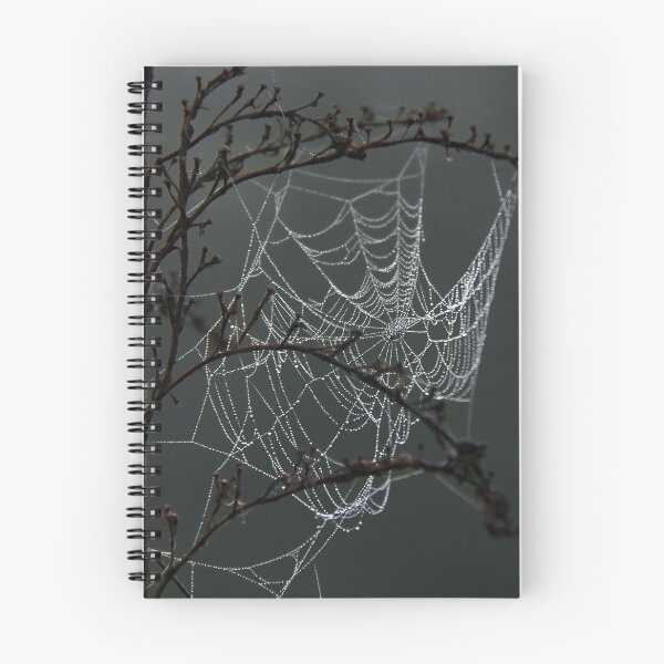 Item preview, Cobweb designed and sold by EvaWald.