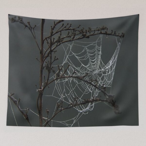 Item preview, Cobweb designed and sold by EvaWald.