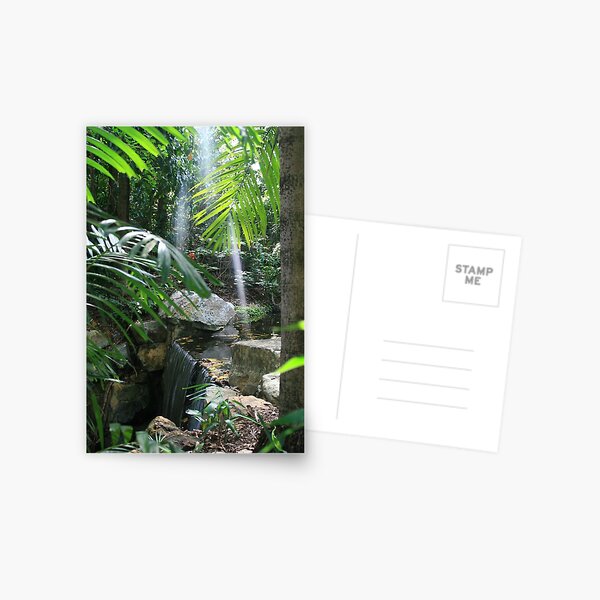 Rock Garden Waterfall Postcard