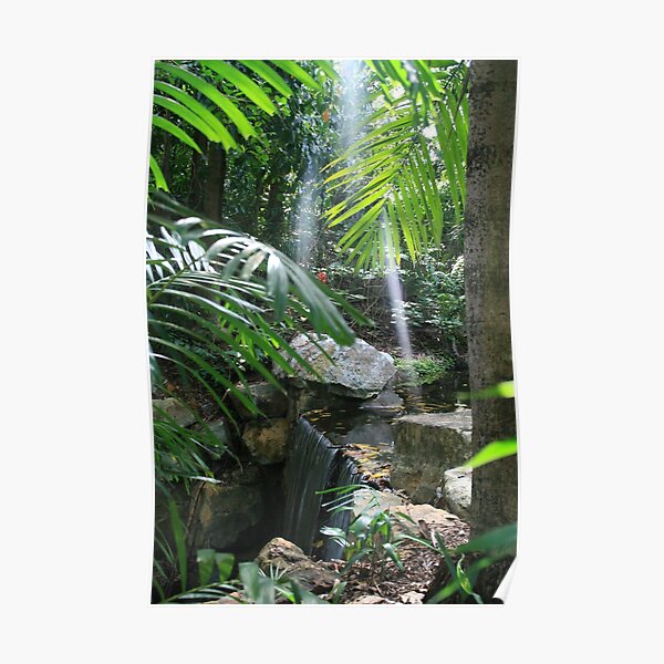 Rock Garden Waterfall Poster
