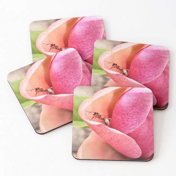Item preview, Pink magnolia and ant designed and sold by orangerinka.