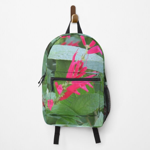 Item preview, Brightly coloured salvia designed and sold by greentiger1.