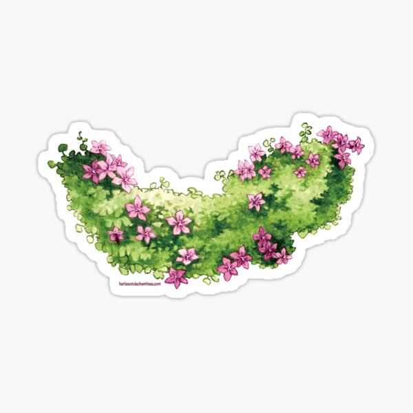 Campanules des Murailles Sticker