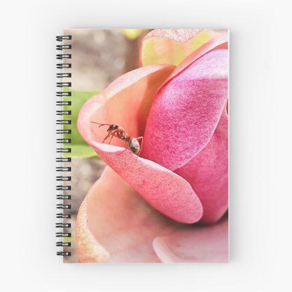 Item preview, Pink magnolia and ant designed and sold by orangerinka.