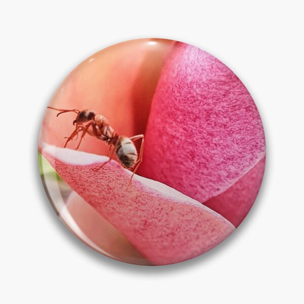 Item preview, Pink magnolia and ant designed and sold by orangerinka.