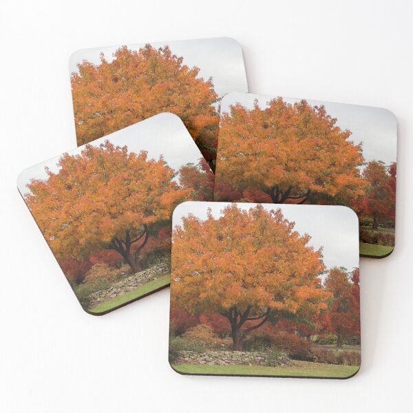 Item preview, autumn colours at the Arboretum designed and sold by Gaylene Norton.