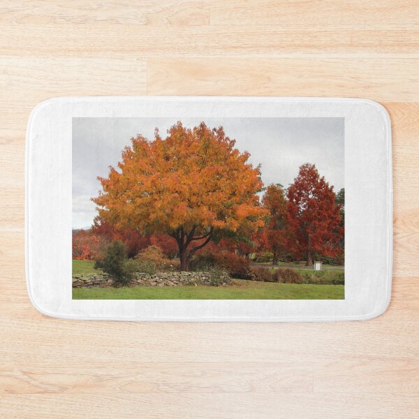 Item preview, autumn colours at the Arboretum designed and sold by Gaylene Norton.