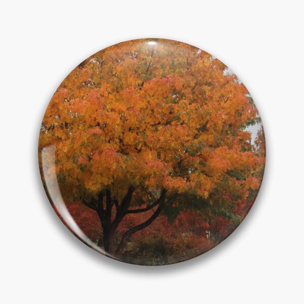 Item preview, autumn colours at the Arboretum designed and sold by Gaylene Norton.