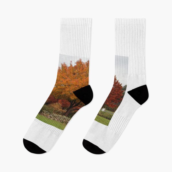 Item preview, autumn colours at the Arboretum designed and sold by Gaylene Norton.