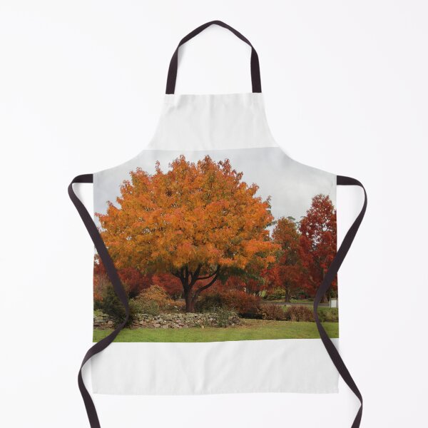 Item preview, autumn colours at the Arboretum designed and sold by Gaylene Norton.
