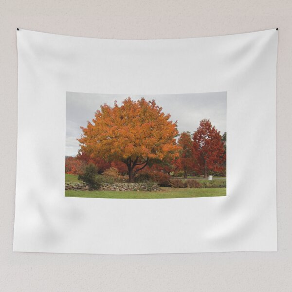Item preview, autumn colours at the Arboretum designed and sold by Gaylene Norton.