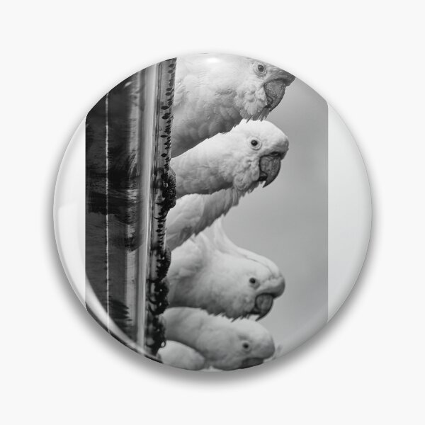 Item preview, Rooftop Cockatoos designed and sold by BeingTherePix.