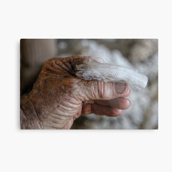 THE CRIMP Metal Print