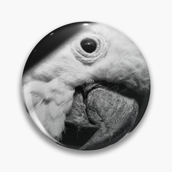 Item preview, Curious Big Eyed Cockatoo designed and sold by BeingTherePix.