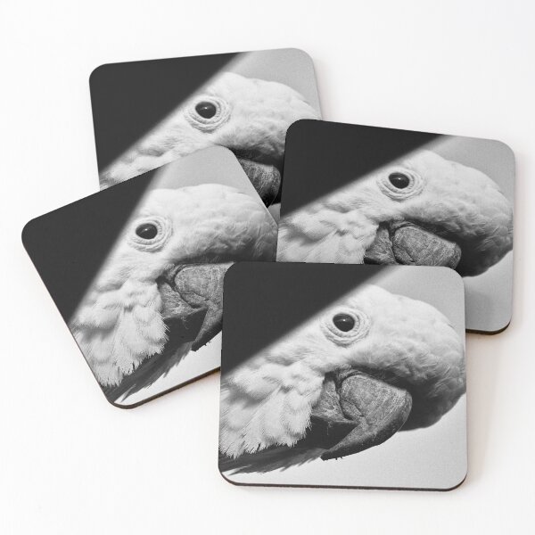 Item preview, Curious Big Eyed Cockatoo designed and sold by BeingTherePix.
