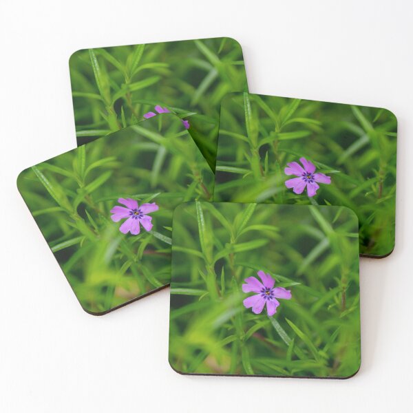 Item preview, phlox flower designed and sold by Dimo Petrov.
