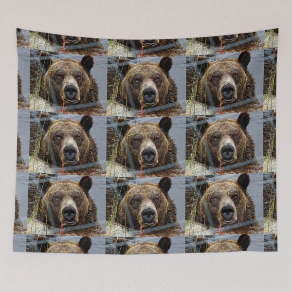 Item preview, Big Brown Bear Stare designed and sold by BeingTherePix.
