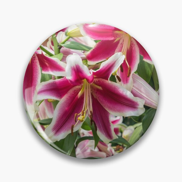 Item preview, Happy Superbloom - Riotous Fragrant Garden of Stargazer Lilies designed and sold by Georgia Mizuleva.