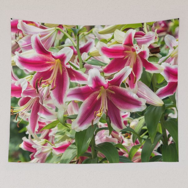 Item preview, Happy Superbloom - Riotous Fragrant Garden of Stargazer Lilies designed and sold by Georgia Mizuleva.