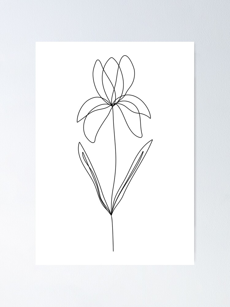 Póster «Flor de nacimiento, febrero, flor de iris, una línea, contorno, dibujo» de EtienneOutram | Redbubble Póster «Flor de nacimiento, febrero, flor de iris, una línea, contorno, dibujo» de EtienneOutram | Redbubble