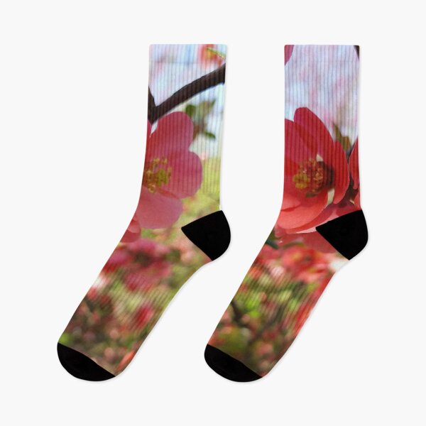 Item preview, Japanese quince photography designed and sold by orangerinka.