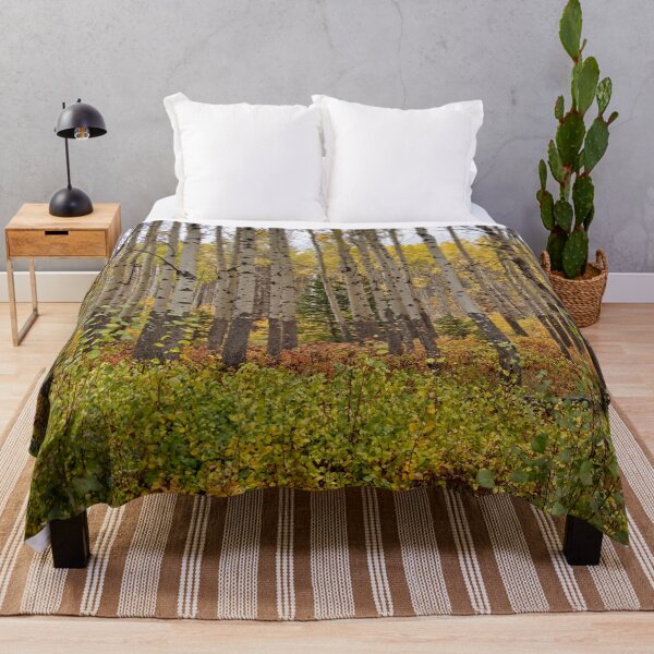 Item preview, Yellow And Green Birch Trees In Canada designed and sold by Catherine Reading.