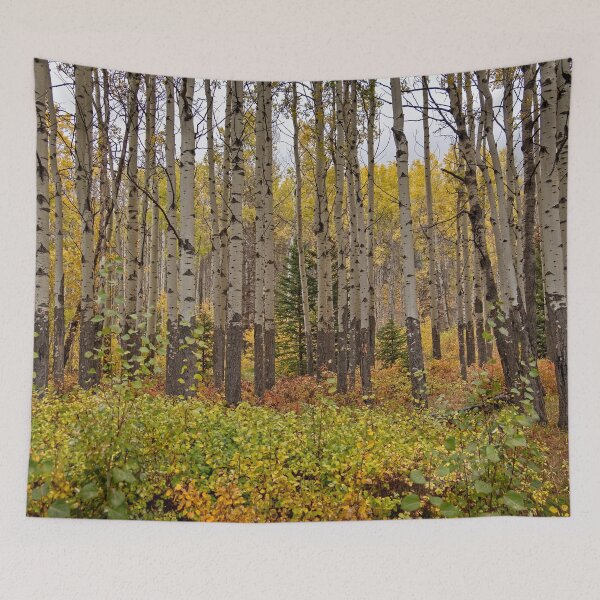 Item preview, Yellow And Green Birch Trees In Canada designed and sold by Catherine Reading.