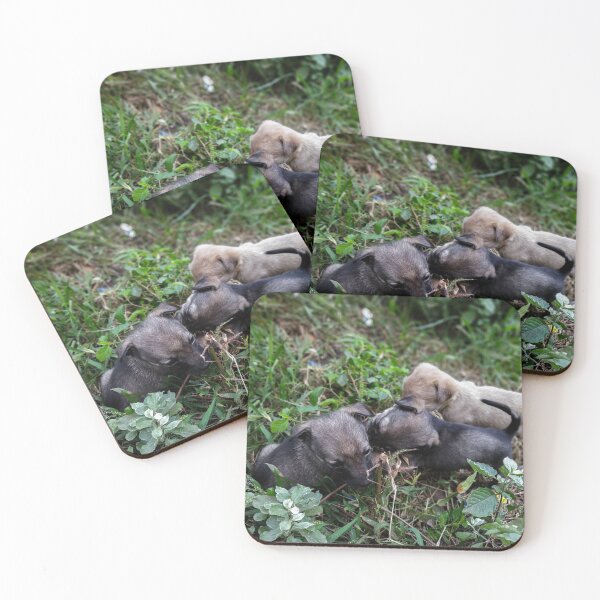 Item preview, Cute Little Puppies Dog designed and sold by krishna chauhan.