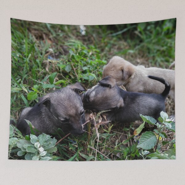 Item preview, Cute Little Puppies Dog designed and sold by krishna chauhan.