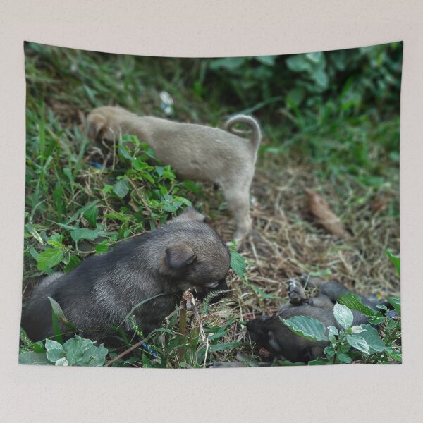 Item preview, Cute Little Puppies Dog designed and sold by krishna chauhan.