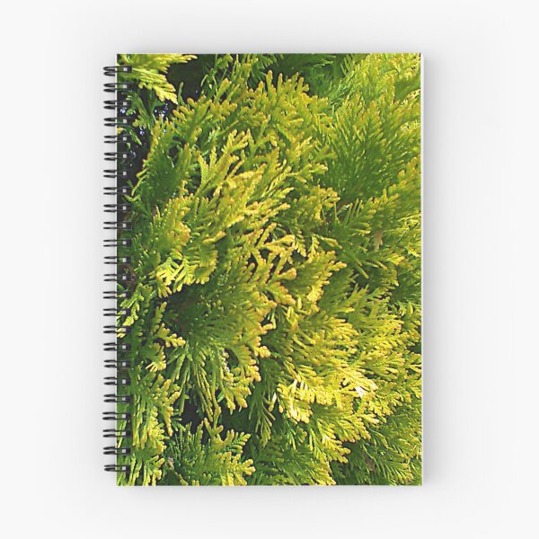 Item preview, Golden Arborvitae Leaves ~  designed and sold by Jeanine King.