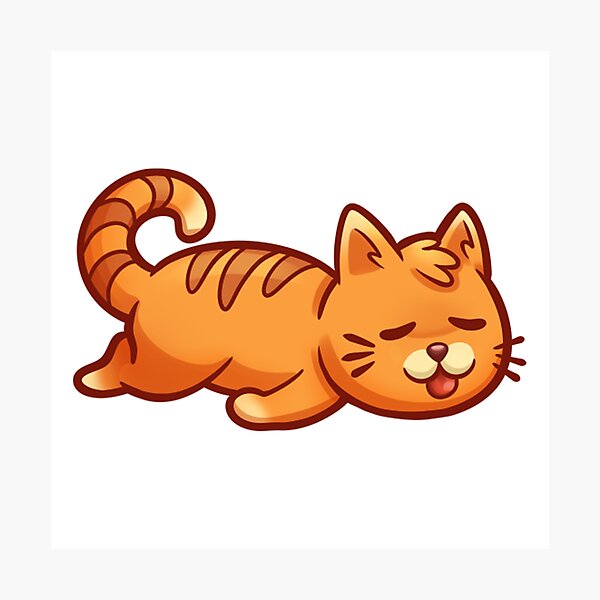 Sleepy Cat Mood Photographic Print