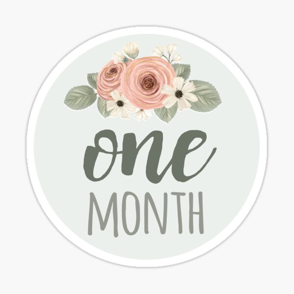 Floral Baby Month Stickers – INKtropolis