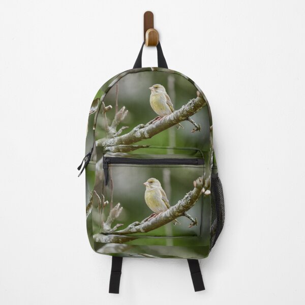 Item preview, Brown eyes. European greenfinch designed and sold by Jouko Lehto Photography.