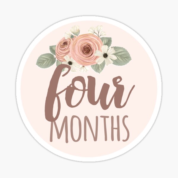 Floral Baby Month Stickers – INKtropolis